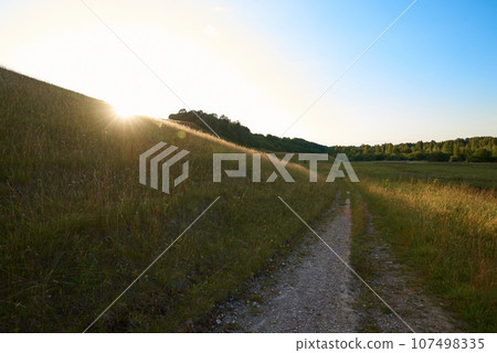 An empty field road goes into the distance among the hills bathed in the evening sun. 107498335