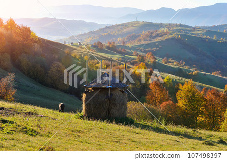 Beautiful autumn mountain landscape in the morning light with bright trees and haystack 107498397