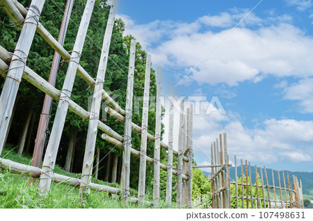 Horse fence (close view) 107498631