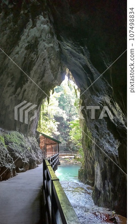 Akiyoshido Cave, a special natural monument, the entrance to a mysterious world Akiyoshido Cave, a special natural monument, the entrance to a mysterious world 107498834