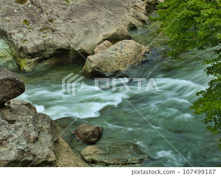 Green mountain stream, Tsunami River, Aga Town, Niigata Prefecture Green mountain stream, Tsunami River, Aga Town, Niigata Prefecture 107499187