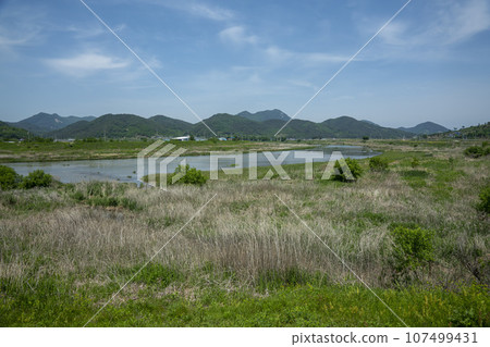 Bicycle path along the Seomjingang River 107499431