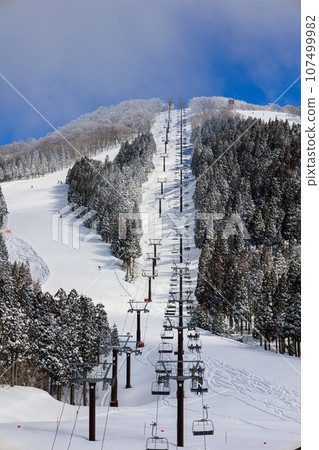 [福井縣] 陽光明媚的滑雪場「Ski Jam Katsuyama」（縱向照片） 107499982