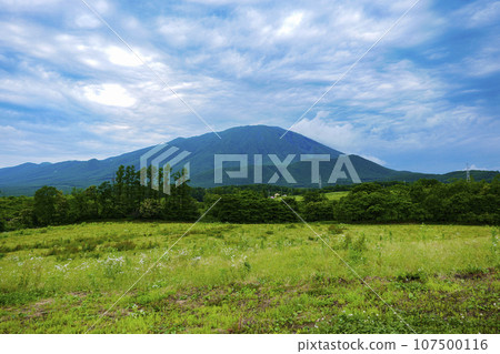 Iwate and the grassland 107500116