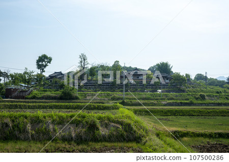 Bicycle path along the Seomjingang River Bicycle path along the Seomjingang River 107500286