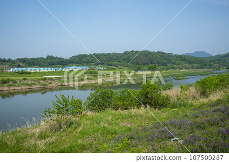 Bicycle path along the Seomjingang River Bicycle path along the Seomjingang River 107500287