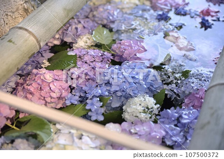 彌摩堂的夜晚 彌摩堂的夜晚 107500372