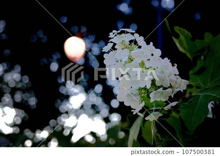 Mimo Shrine at night Mimo Shrine at night 107500381