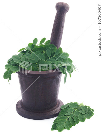 Edible moringa leaves in a vintage mortar 107500407