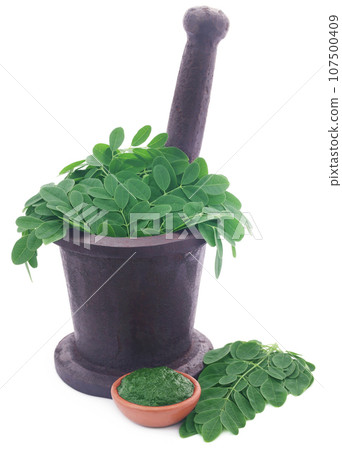Edible moringa leaves in a vintage mortar with ground paste Edible moringa leaves in a vintage mortar with ground paste 107500409