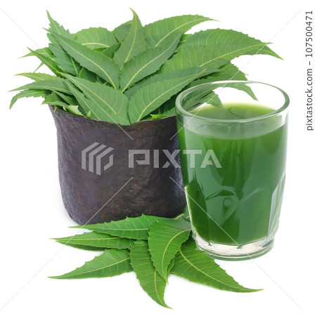 Medicinal neem leaves with extract Medicinal neem leaves with extract 107500471
