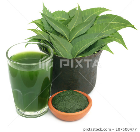 Medicinal neem leaves with extract and ground paste Medicinal neem leaves with extract and ground paste 107500477