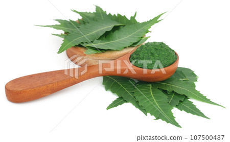 Medicinal neem leaves with ground paste Medicinal neem leaves with ground paste 107500487