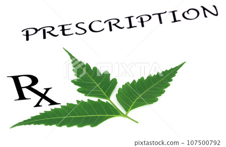 Neem leaves as medicine 107500792