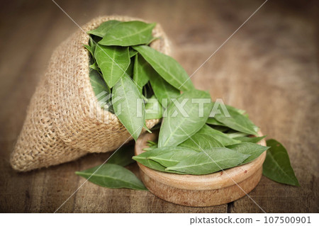 Ayurvedic henna leaves 107500901