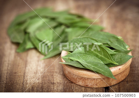 Ayurvedic henna leaves 107500903