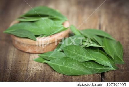 Ayurvedic henna leaves 107500905