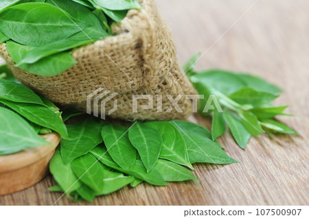 Ayurvedic henna leaves 107500907