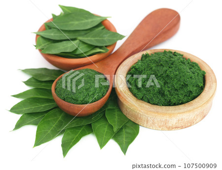 Ayurvedic henna leaves mashed and whole 107500909