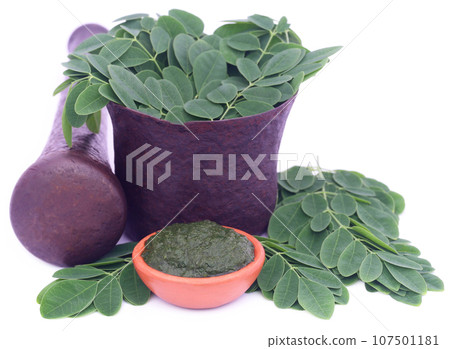 Edible moringa leaves in a vintage mortar Edible moringa leaves in a vintage mortar 107501181