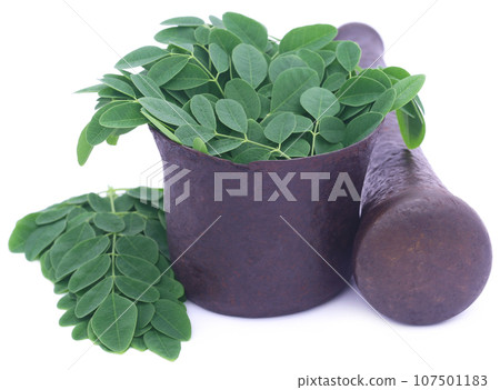 Edible moringa leaves in a vintage mortar 107501183