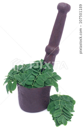Edible moringa leaves in a vintage mortar Edible moringa leaves in a vintage mortar 107501189