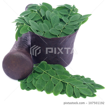 Edible moringa leaves in a vintage mortar 107501192
