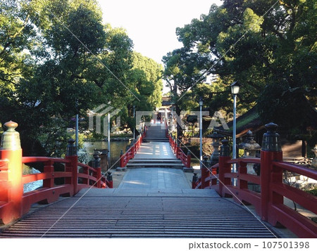 清晨的太宰府天滿宮神社境內 107501398