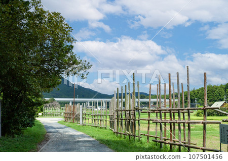 Horse fence and the Second Tomei Expressway 107501456