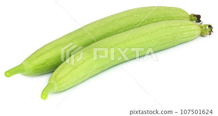 Fresh ridge gourd Luffa aegyptiaca 107501624