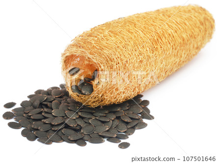 Natural scrubber of dried Ridge gourd with seeds 107501646