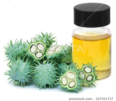 Castor oil with green beans Castor oil with green beans 107501737