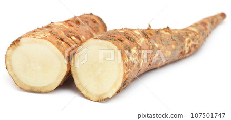 Root of Bomax tree Root of Bomax tree 107501747