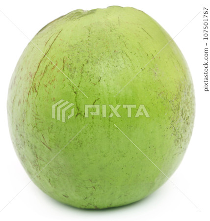 Chrysophyllum cainito or star apple 107501767