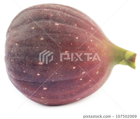 Fresh organic common fig 107502009