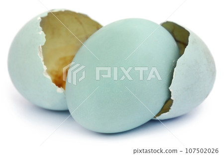 Eggs of pond heron 107502026