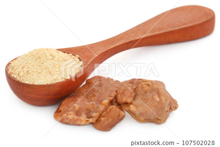 Ferula assafoetida or Hing spice Ferula assafoetida or Hing spice 107502028