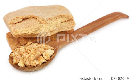 Ferula assafoetida or Hing spice Ferula assafoetida or Hing spice 107502029