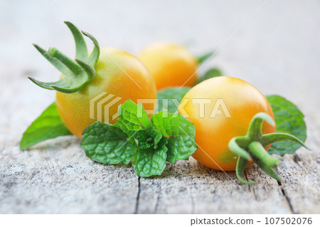 Fresh organic tomatoes with mint leaves Fresh organic tomatoes with mint leaves 107502076