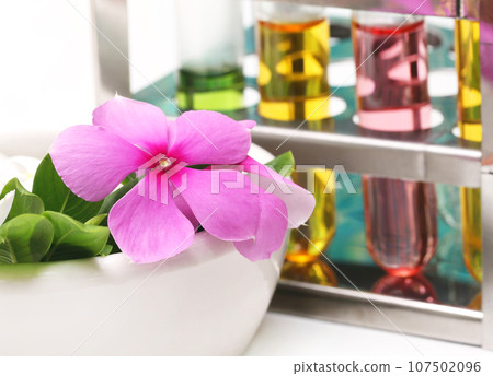 Catharanthus roseus in analytical laboratory Catharanthus roseus in analytical laboratory 107502096