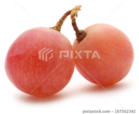 Organic red grapes Organic red grapes 107502392