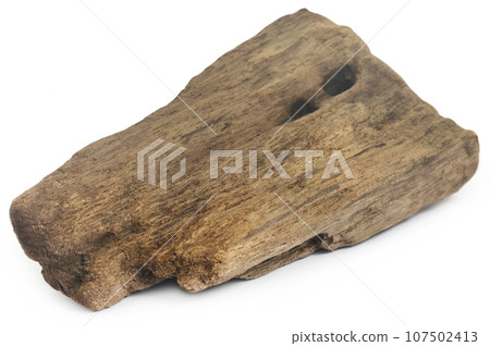 Bogwood 107502413