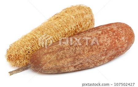 Natural scrubber of dried Ridge gourd Natural scrubber of dried Ridge gourd 107502427