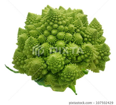 Romanesco broccoli 107502429