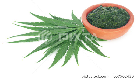 Green and mashed leaves of medicinal cannabis 107502439