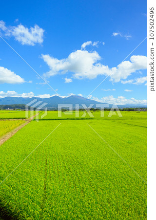新田五兵衛與淺間山[佐久市幸] 107502496