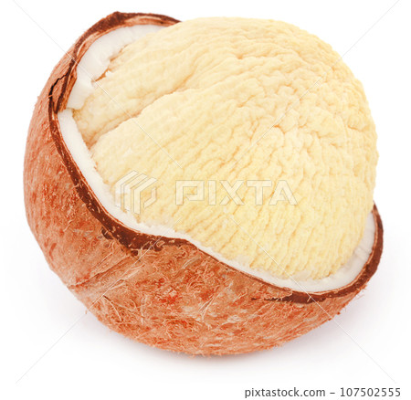 Fresh coconut Fresh coconut 107502555