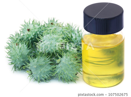 Castor oil with green beans 107502675