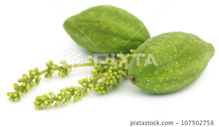 Fresh green medicinal haritaki fruits Fresh green medicinal haritaki fruits 107502758