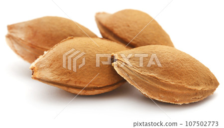 Seeds of apricot 107502773
